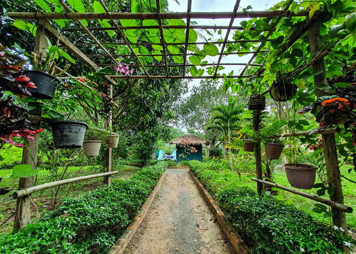 សួនមេអំបៅកែប ( Keb Butterfly Garden )