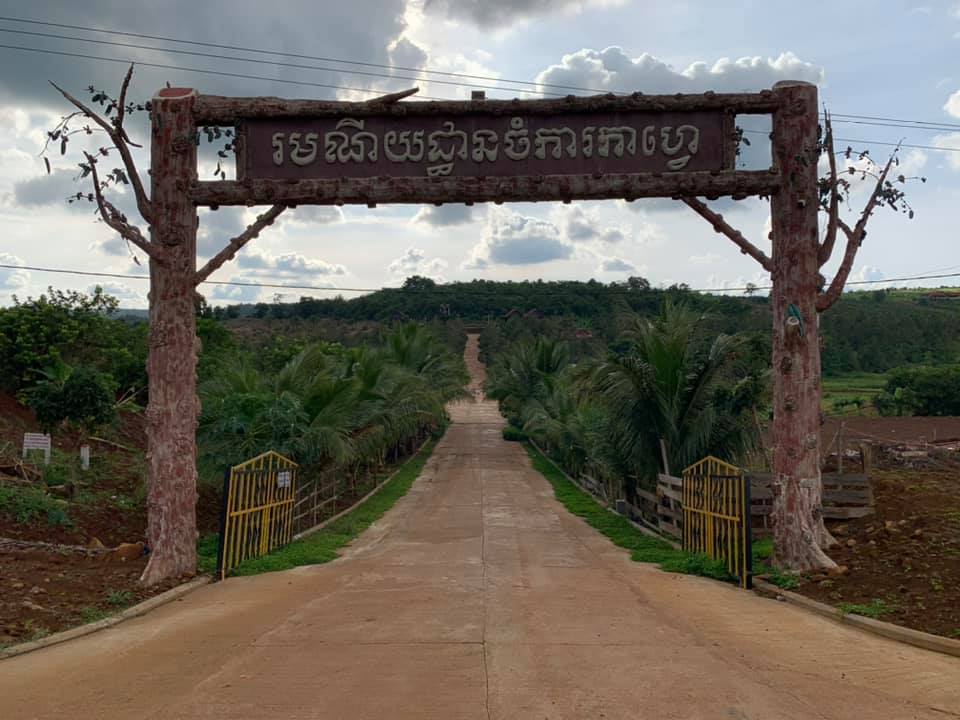 រមណីដ្ឋានចំការកាហ្វេ (​​Coffee Plantation )