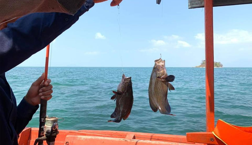 ការស្ទូចត្រី​នៅលើកោះតាគាវ (Fishing at KohTakeav )