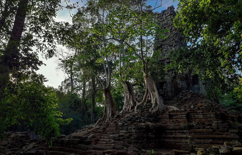 ប្រាសាទព្រះបាលីឡៃ (Bali Lai Temple)