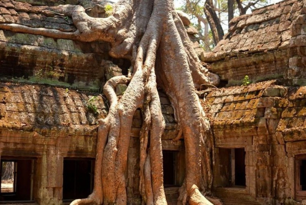 Angkor Day Tour without Sunrise (Tuk-tuk) - Siem Reap - Get Angkor Guide