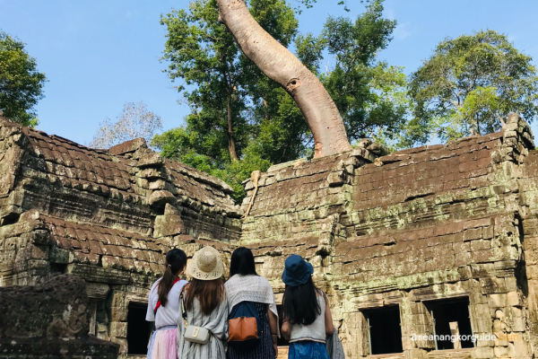 Spectacular Angkor 2D1N Tour - Siem Reap - Asean Angkor Guide