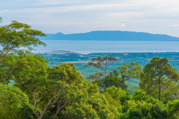 Discover Bokor National Park Haft Day Tour (Morning Shift) - Kampot - Butterfly Tours