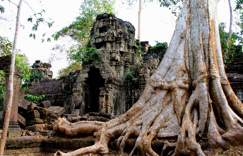 ប្រាសាទតាណី (Prasat Tani)