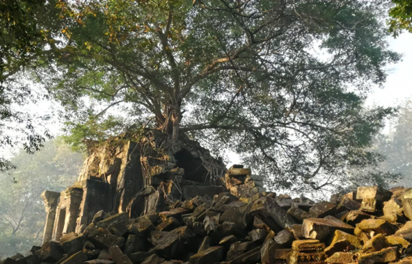 Beng Mealea & Kampong Khleang Full Day Tour - Siem Reap - Bayon Adventures Travel
