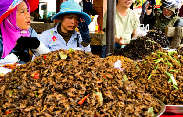 Phnom Penh To Siem Reap 2D1N Tour - Phnom Penh - Bayon Adventures Travel