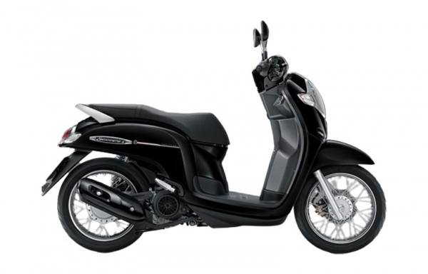 Honda Scoopy - Kampot - Kampot Motor & Car Rental