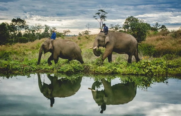 Noelle’s Afternoon Half-Day Tour - Ratanakiri - Airavata Elephant Foundation
