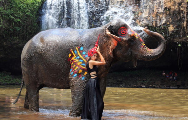 Elephant Spa Half-Day Tour - Ratanakiri - Airavata Elephant Foundation