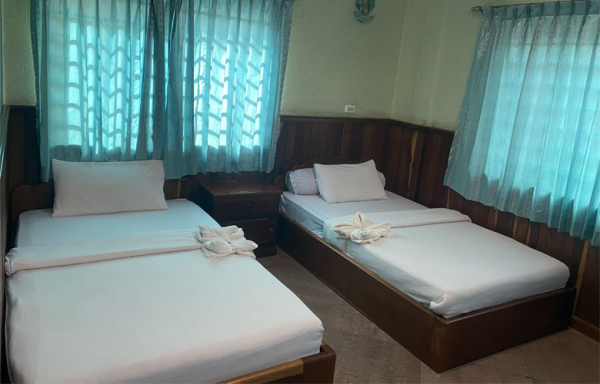 Unique Palm Angkor Villa